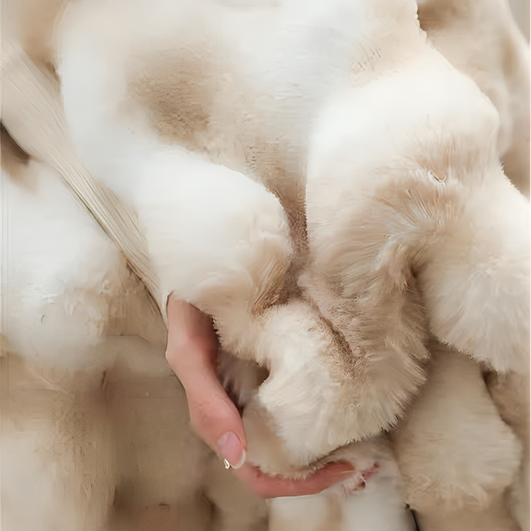 Luxury Lush Tuscan Blanket