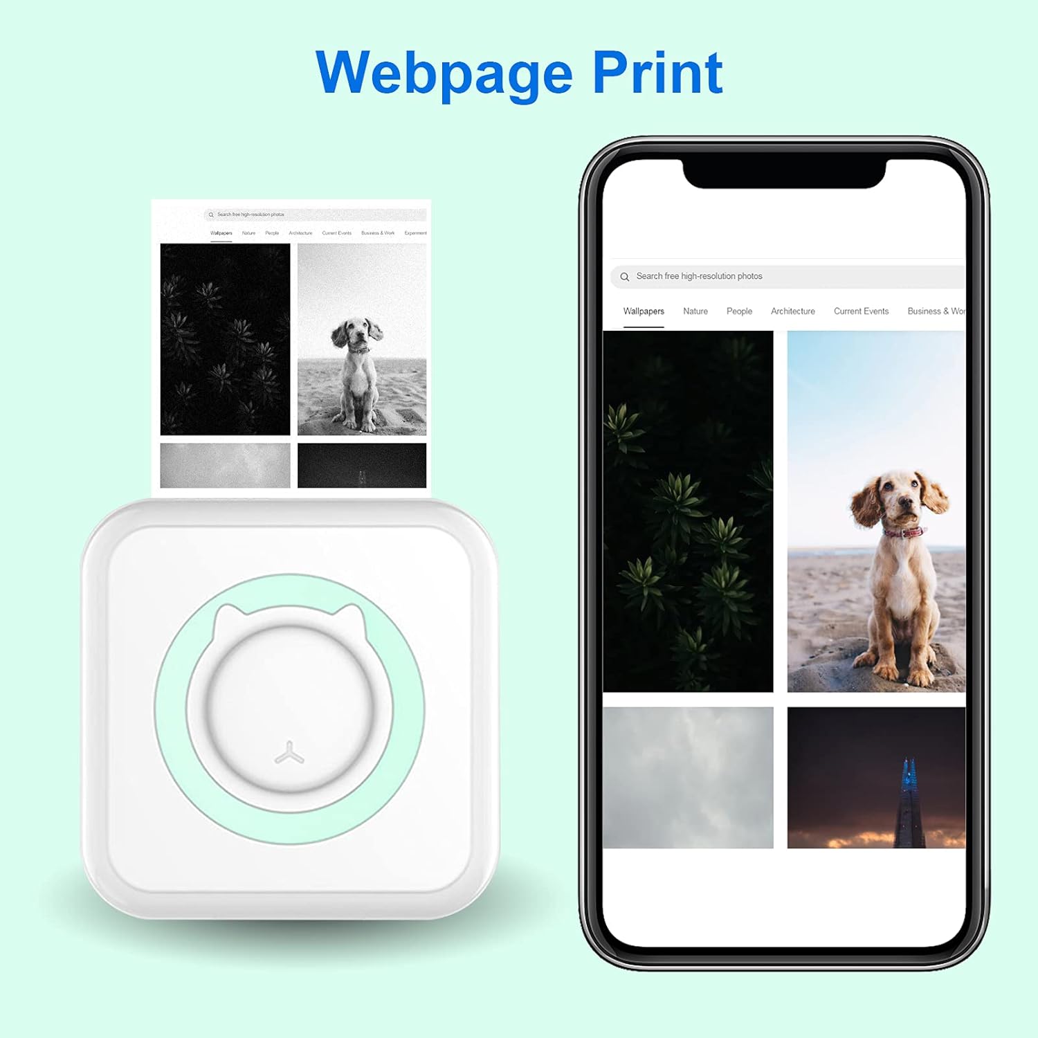 Mini IOS/Android Bluetooth Printer